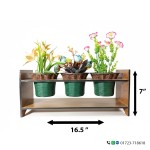 গর্জন টেবিল ফ্লাওয়ার ভ্যাস