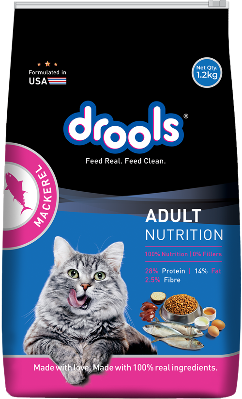 drools cat food