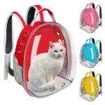 Cat bag premium